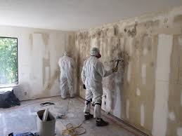 Why You Should Choose Our Mold Remediation Services in Holmes Beach, FL